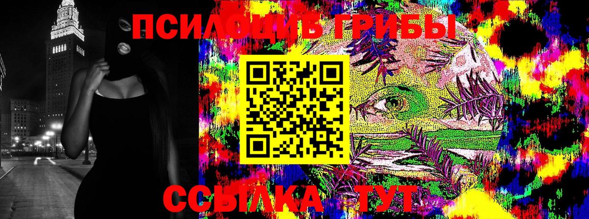 Краснокаменск  Псилоцибиновые грибы мухоморы  Вход с VPN 